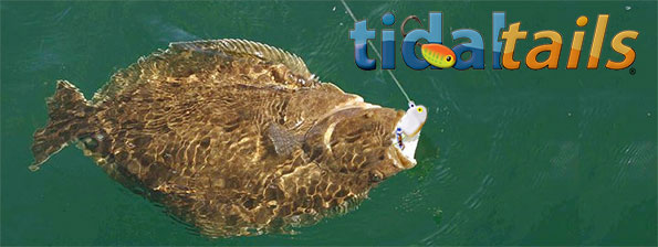 FLUKE JIG